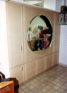fish aquarium remodeled
